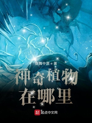 ����ֲ�������