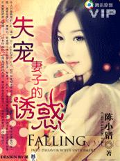 ʧ�����ӵ��ջ�