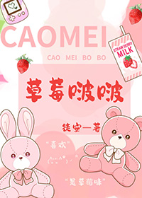 �Ͷ�����������������