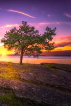 �кɰ����ļ�