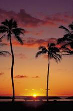 ���������ļ�