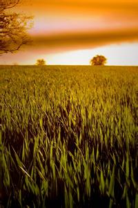 �����ļ�