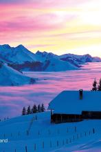 �����Ұ�ٺ��ļ�