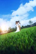 ��ī�����ļ�