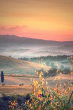 ������Ӱ111�ļ�