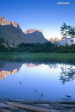 �ݷ���ũ�ļ�