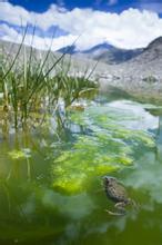 ���治���������ļ�