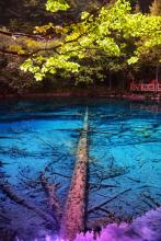 ���������ļ�