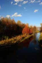 ����ϸ���ļ�