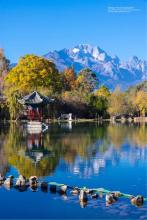 �׺�һЦ��1983�ļ�