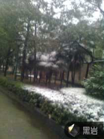 �������