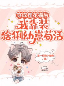 �����껨è���ҿ�װ���̹���