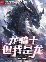 ����ʿ����������