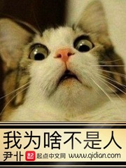 ��Ϊɶ������