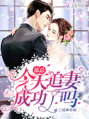 ���ܽ���׷�޳ɹ�����